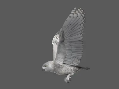  Snowy Owl Animated 