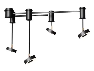 Ceiling lamp Loft It Flock 10189 1000 3D model