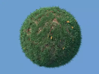 Wild grass objects for particle system 3D model