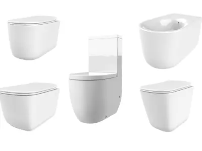 Water Closets and Bidet 3D model