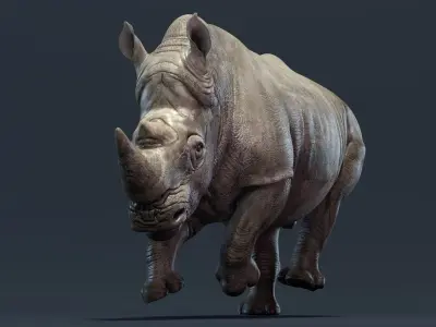  Rhino Family Animated 