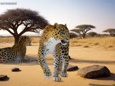  Leopard with Fur Rigged 