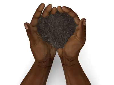 Afro American Hands Holding Soil 