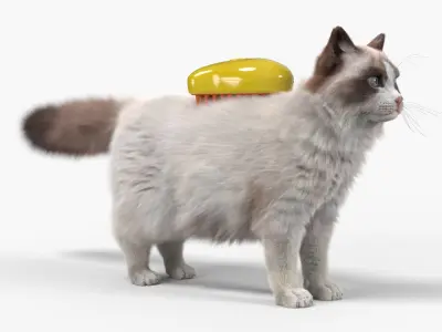  Long Hair Cat Grooming Brush Yellow Fur for Maya 