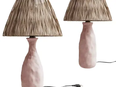 Diy Terracotta Lamp With Raffia Lampshade 3D model