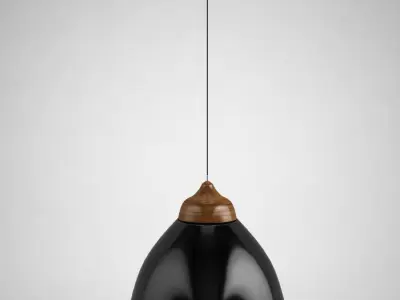 Wood and silk 3D model