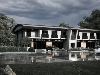  Modern House and Shop   Lumion 11 Scene  Exterior  Scene 3D model