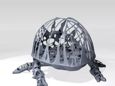 Ladybird Dust Voronoi 3D model