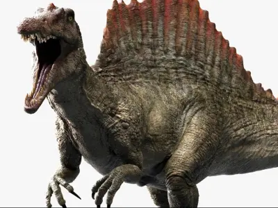  Spinosaurus Rigged 3D 