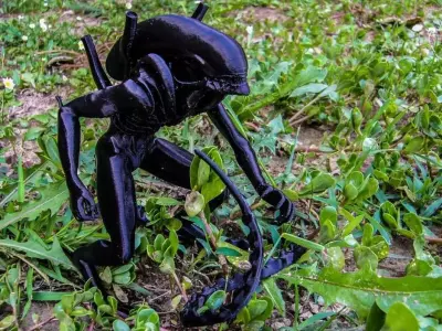 Alien - Xenomorph Warrior 3D print model