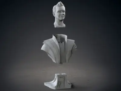 The Grandmaster bust of man with curly hair 3D print model