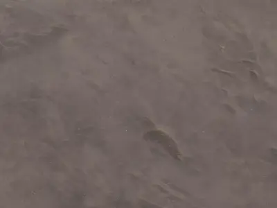 Wet Beach Sand Texture Texture