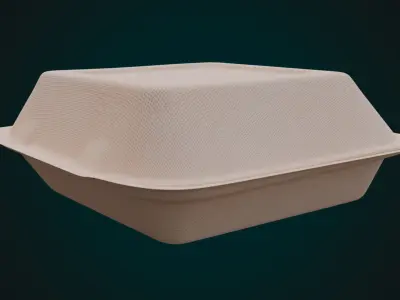 Cardboard Disposable - Food Container 3D model