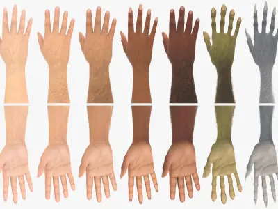  Customizable Rigged and Animated Hands 