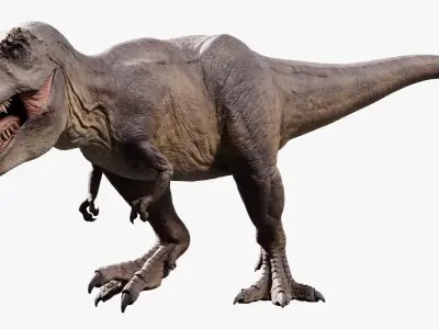  Tyrannosaurus Rex 