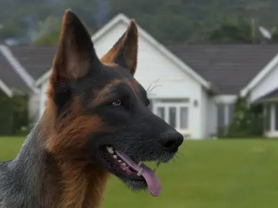  German Shepherd RIGGED 