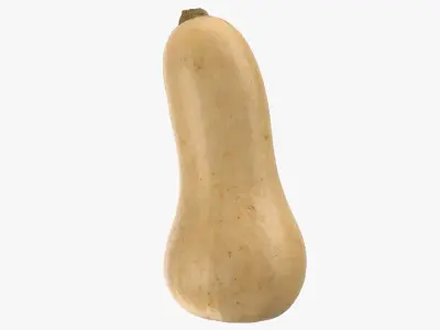  Pumpkin Collection 3 