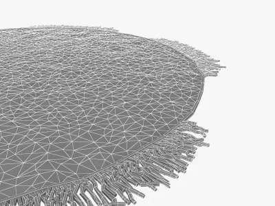 custom made round  modern carpet 3D model