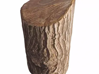 trunk 100 3D model