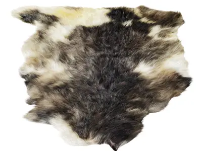 Sheepskin skin 3D model
