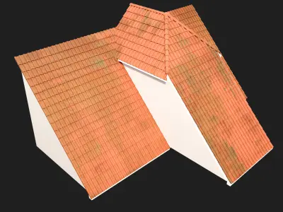 Realistic Roof Collections 20 3D model