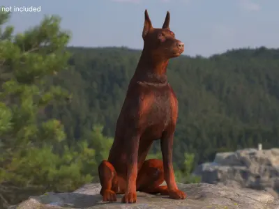  Brown Doberman Pinscher Sits Fur for Cinema 4D 