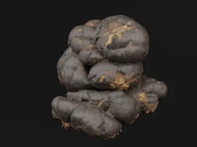 Manure 3D model