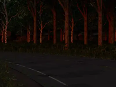 Road in Forest 3D model