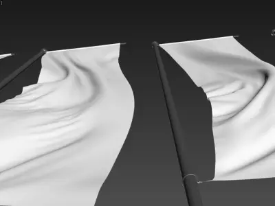 Flags 3D model