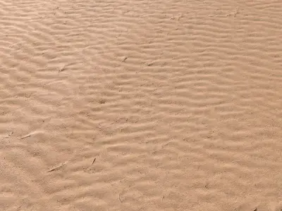 Sand Beach 06 PBR Low-poly 3D model