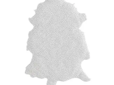 Soft Sheepskin Rug 3D model