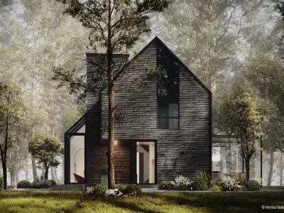 Black House Bluse 3D model