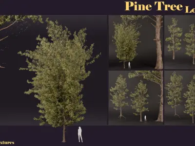 SJ-lowpoly pine tree set 01 Low-poly 3D model