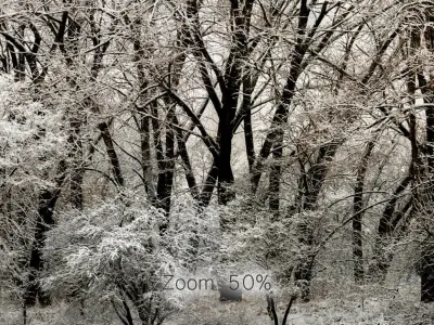 Panorama of the park with a lake and snow-covered trees - 30k 3D model