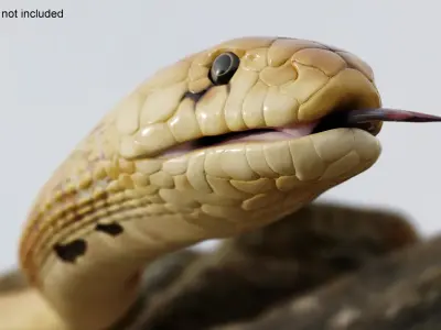  Crawling Light Skin Cobra Animated Rigged 