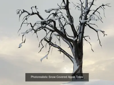 Photorealistic Snowy Apple Trees 3D Model Pack