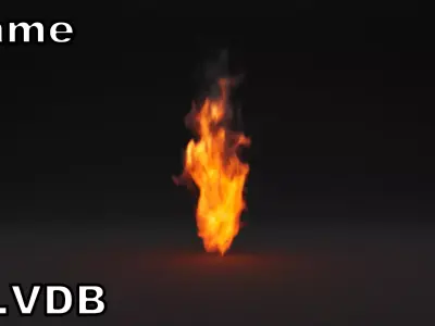 Flame vdb 3D model