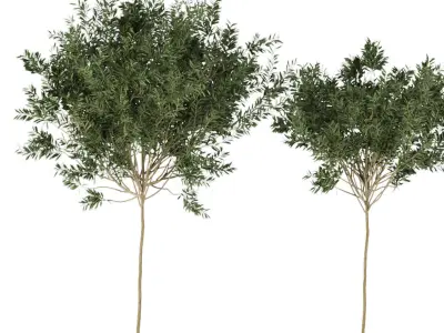 Collection plant vol 230 Free 3D model