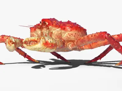  Red King Crab Rigged For Blender 
