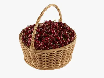  Baskets And Containers With Berries 