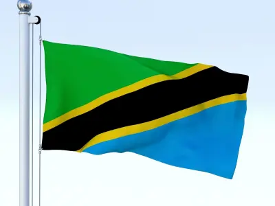 Animated Tanzania Flag Low-poly 3D model
