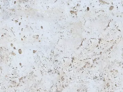 Light Beige Travertine Texture Texture