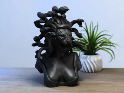 Medusa lion head Cyborg medusa lion 3D print model