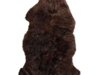 Animal skin rug 03 3D model