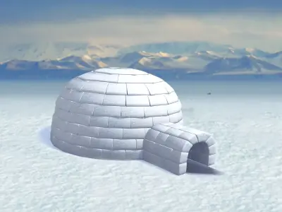 Igloo 3D model