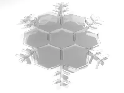 Snowflake - Type 5 3D model