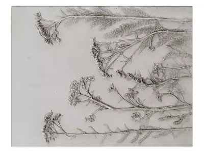 Botany Panel 3D model