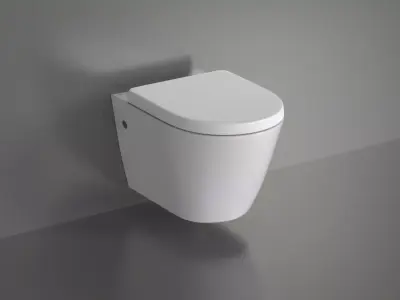 WC20 Toilet 3D model