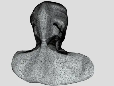 Superfuntimes Android Bust 3D model