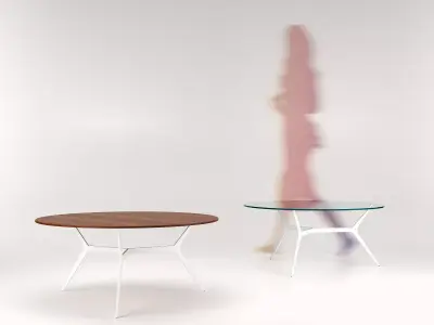 Trimundo Coffee Table 3D model